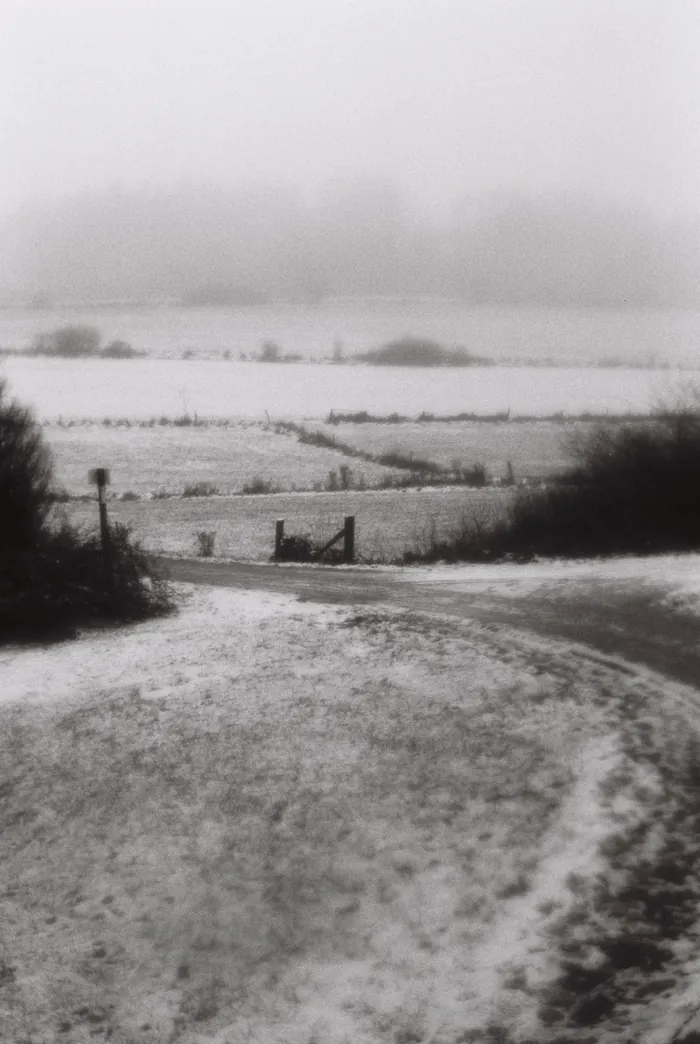 Analogfoto, aufgenommen mit Olympus OM-2n auf CineStill BWxx, Hessen