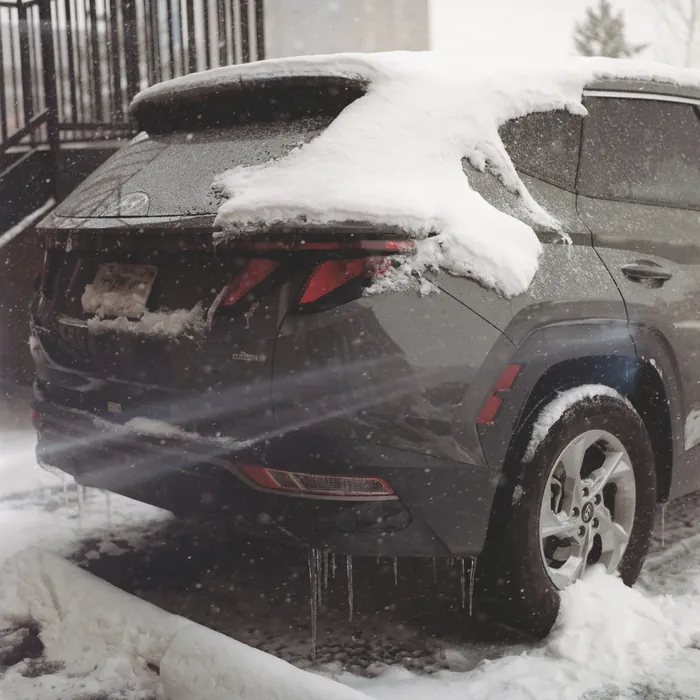 Analogfoto, aufgenommen mit Hasselblad 501cm auf Kodak Gold 200, Arizona