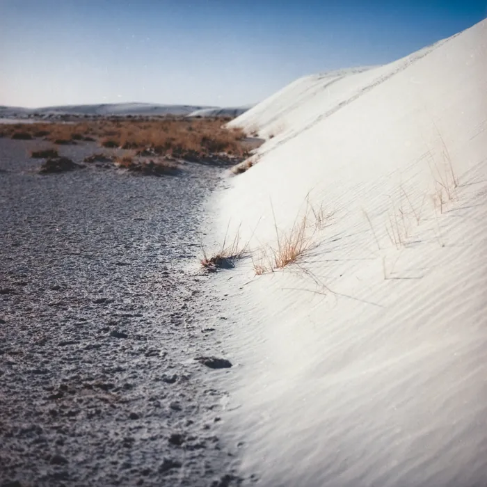 Analogfoto, aufgenommen mit Hasselblad 501cm auf Kodak Gold 200, New Mexico