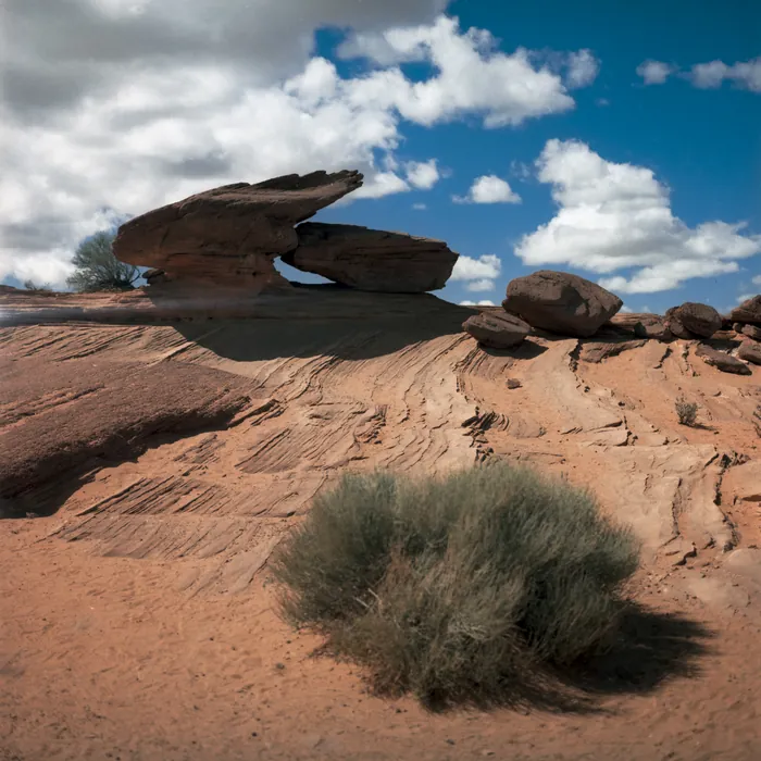 Analogfoto, aufgenommen mit Hasselblad 501cm auf Kodak Gold 200, Utah