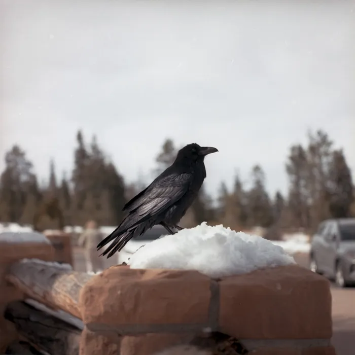 Analogfoto, aufgenommen mit Hasselblad 501cm auf Kodak Gold 200, Utah