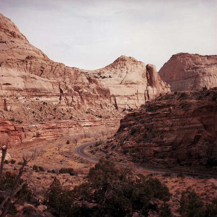 Analogfoto, aufgenommen mit Hasselblad 501cm auf Kodak Gold 200, Utah